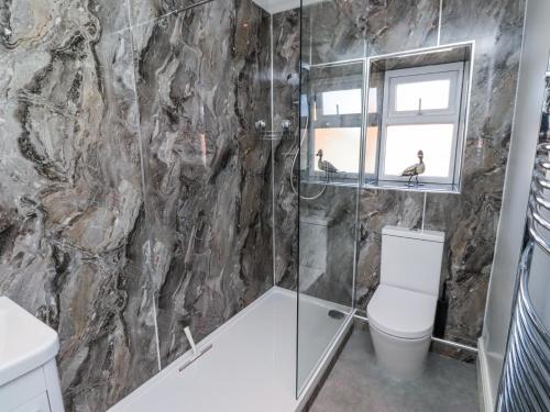 a bathroom with a shower and a toilet and a window at Kennie Cottage in Seahouses