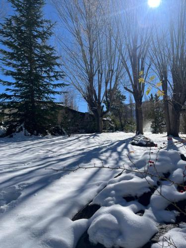 a snow covered road with trees and a sun in the background at Casa de montaña en un lugar mágico in Potrerillos