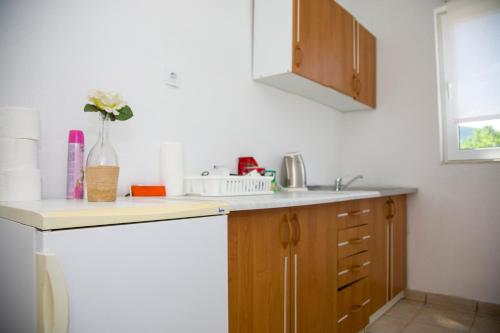 Kuchyň nebo kuchyňský kout v ubytování Guesthouse Bajric