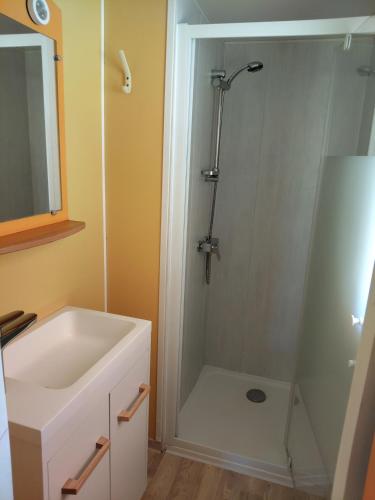 une salle de bain avec douche et lavabo dans l'établissement Mobil Home for chilling out Camping Park ***, à Foix