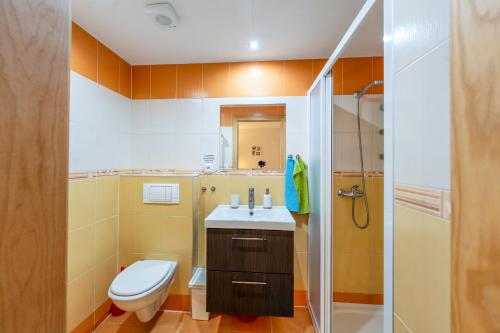 Un baño de Penzion U Andresů