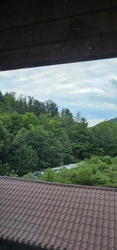 a view of a river from a roof at Pensiunea Flora in Cîrţişoara