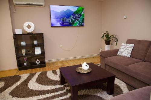 TV a/nebo společenská místnost v ubytování Apartman Rooster