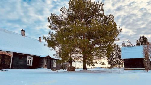 a tree in the snow next to a house at Farmhouseinn1923 
