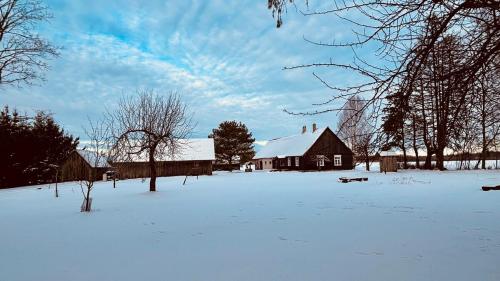 a snow covered yard with a house and a barn at Farmhouseinn1923 