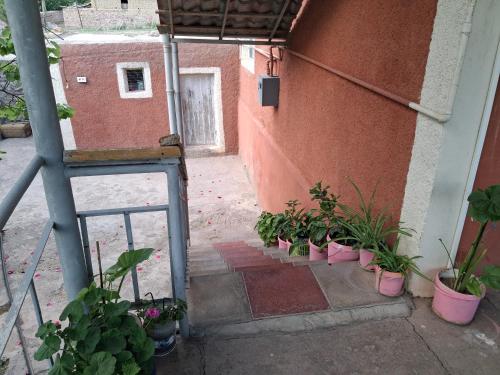 Κήπος έξω από το Noa Village Hostel and Guest house
