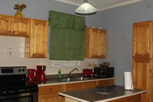 a kitchen with wooden cabinets and a sink and a stove at Artist Place Kensington 2BR New Kingston in New Kingston