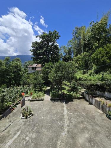 a view of a yard with trees and a building at Blue Sky Home Stay in Samdong