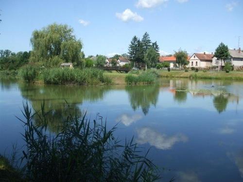 a large body of water with houses in the background at Nyugalom Szigete, Kisház Kerkaszentkirály in Kerkaszentkirály