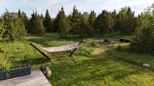 a hammock sitting in the middle of a yard at 2me2 - peatuspaik imelises Väratis in Värati