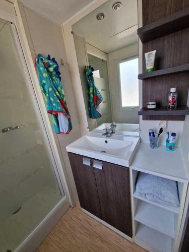 une salle de bain avec un lavabo et une douche dans l'établissement Camping 4 étoiles - Parc aquatique - efah0b, à Saint-Geniez-dʼOlt