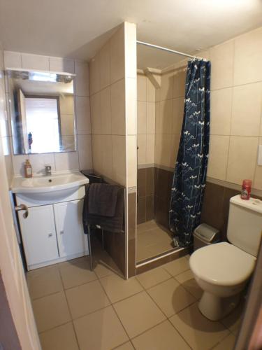 une salle de bain avec une douche, des toilettes et un lavabo dans l'établissement Studio entre Paris et Disneyland 2 à 4 pers, à Noisy-le-Grand