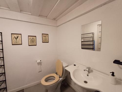 a white bathroom with a toilet and a sink at Cottage Amelia in Čechy