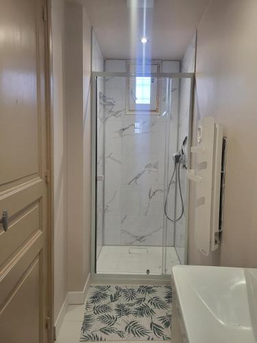 La salle de bains est pourvue d'une cabine de douche en verre. dans l'établissement Le Saint Martin, à Fort-Mahon-Plage