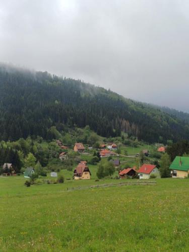 Příroda nedaleko apartmánu