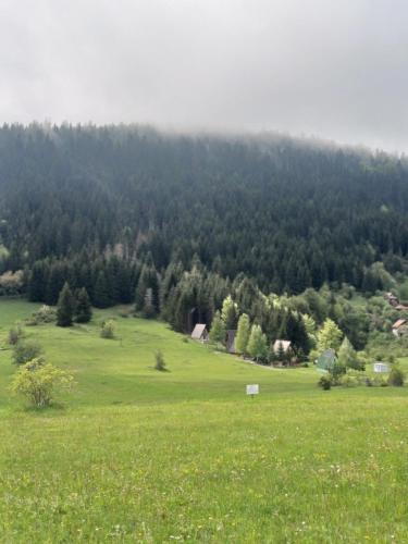 Příroda nedaleko apartmánu