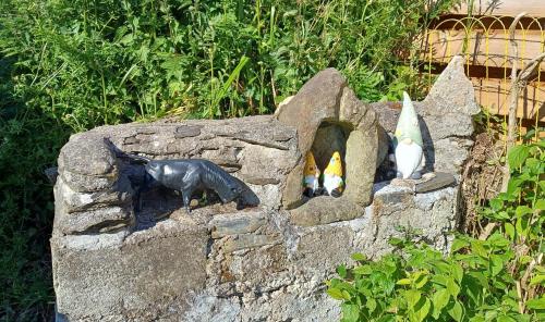 trois chats regardant à travers un mur de pierre dans l'établissement Keriven Cottage, à Keriven