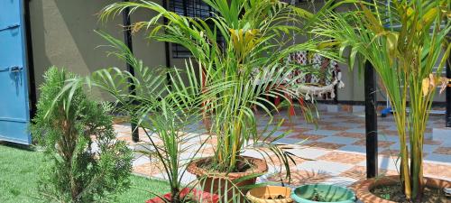 a group of plants in pots on a patio at Diya Homestay in Rāmpur Hāt
