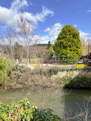 une rivière avec un pont et un arbre en arrière-plan dans l'établissement La Maison d'Alienor Les Beauregards, à Chablis