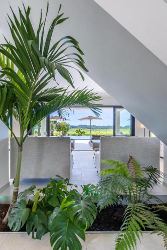 a palm tree in the middle of a room with plants at Royal Tiki Lodges - Maison d'hôtes avec Piscine chauffée Jacuzzi- Chambres ou Villa entière - Villa SCL in Plaissan