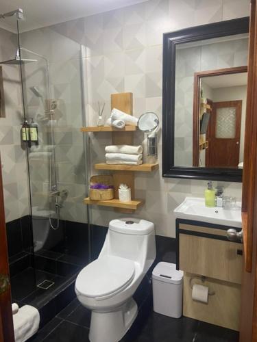 uma casa de banho com um WC, um chuveiro e um lavatório. em Cabañas Bosque Austral em Punta Arenas