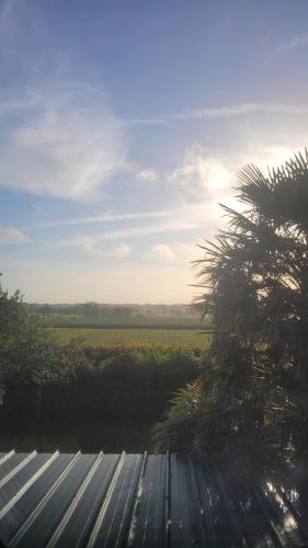 une vue d'un champ et d'un palmier dans l'établissement À l'Ouest du Mont - Chambre avec Salle de Bain Privée, à Pleine-Fougères