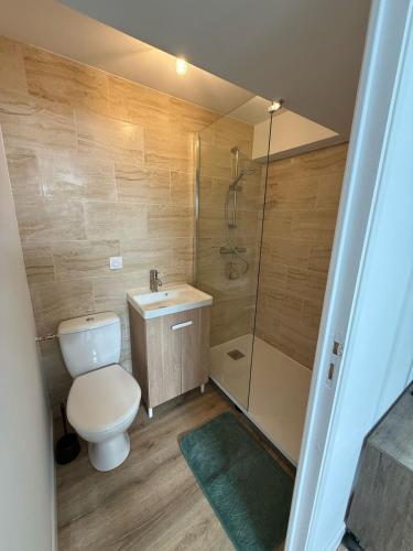 une salle de bain avec toilettes et douche dans l'établissement Appartement type 2 à corné, à Corné