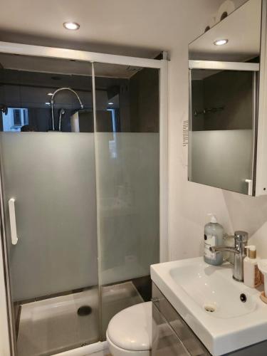 une salle de bain avec une douche, des toilettes et un lavabo dans l'établissement Charming Studio in Old Nice, à Nice