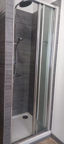 une douche avec une porte vitrée dans une salle de bain dans l'établissement Dijon en famille - cosy, équipé bébé - 5 mn centre ville, à Dijon