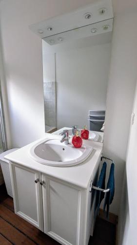 une salle de bain avec un lavabo blanc et un miroir dans l'établissement Duplex spacieux - centre-ville, à Limoges