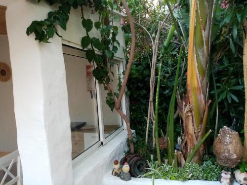 Κήπος έξω από το Casa Rustica - Courtyard House