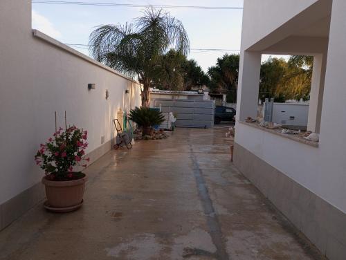 Φωτογραφία από το άλμπουμ του Mare&Relax σε Mazara del Vallo