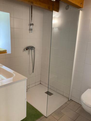 une salle de bain avec une douche avec un lavabo et des toilettes dans l'établissement Gîte le Chiniacum, à La Celle-sous-Gouzon