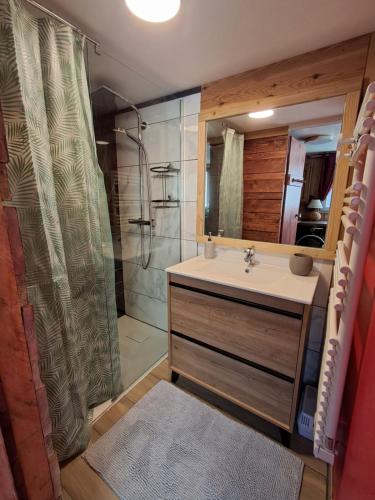 a bathroom with a sink and a shower with a mirror at Jolie studio cocooning in Grendelbruch