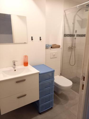 une salle de bain avec un lavabo, des toilettes et une douche dans l'établissement T2 à côté de la plage, à Antibes