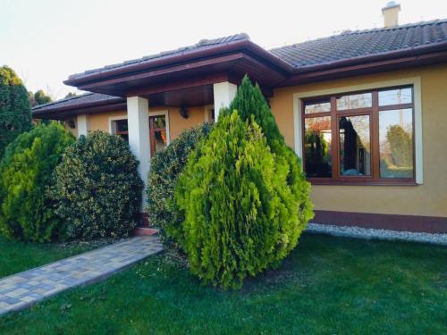 a house with two large trees in front of it at Villa Flower Deluxe in Kostolné Kračany