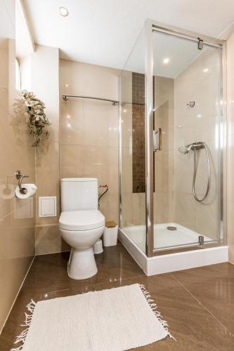 a bathroom with a shower and a toilet and a tub at Apartament Kalina-Mocarni in Kościelisko