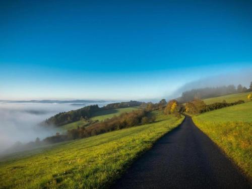a road in the middle of a field with fog on the horizon at Baltic Hus Zierow s Gem in Zierow