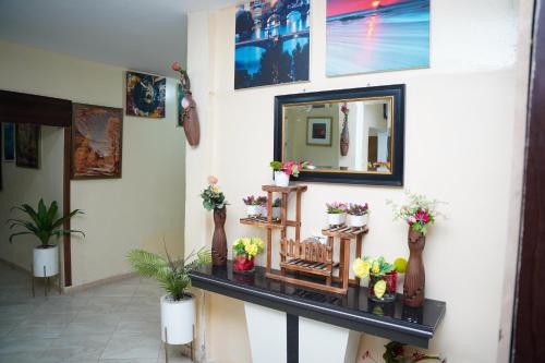 a mirror on a wall with potted plants on it at Twins Hotel in Nouakchott