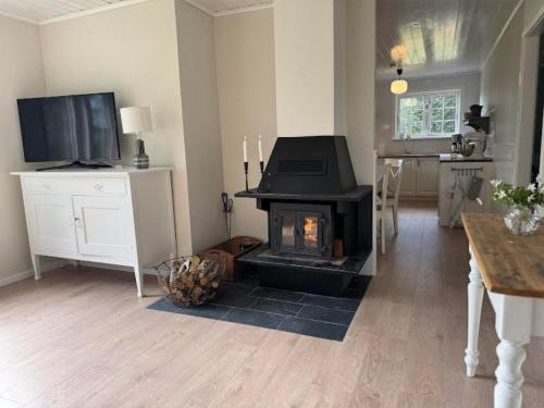a living room with a fireplace and a television at Hus Björklund in Hällefors