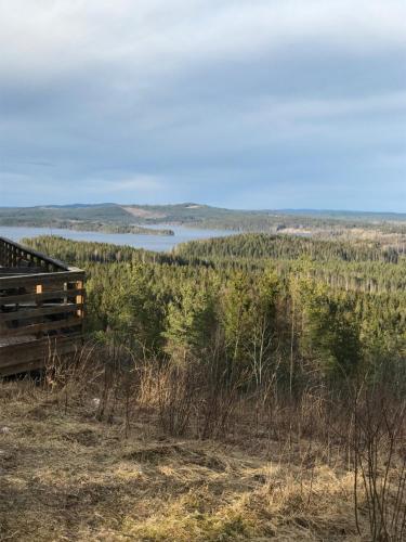 a view of a lake from the top of a hill at Hus Björklund in Hällefors