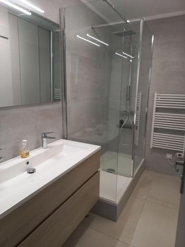 une salle de bain avec un lavabo et une douche dans l'établissement Appartement rez-de-jardin, à Ceyreste