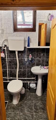 a small bathroom with a toilet and a sink at Vikendica Pavlović in Zatonje