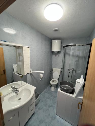 a bathroom with a sink and a shower and a toilet at Apartman 5 Majba in Zaglavice
