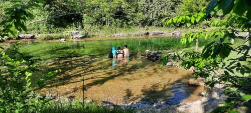 un groupe de personnes debout dans un étang dans l'établissement Seuls au monde, à Varen