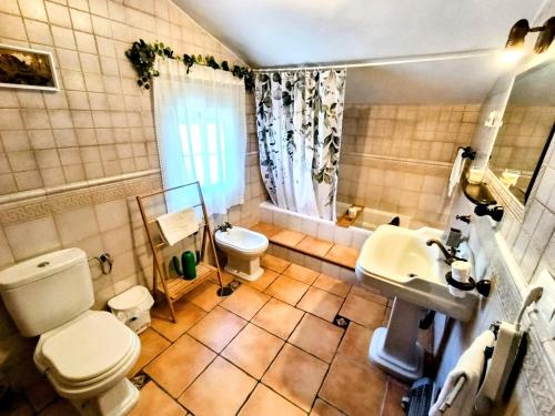 a bathroom with a toilet and a sink at Casa Lo Pinto Private Pool Villa South of El Torcal -UNESCO- in La Joya