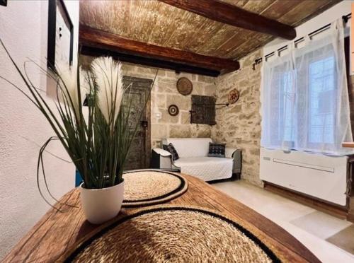 a room with a table with a potted plant on it at Minorca Studios in Alghero