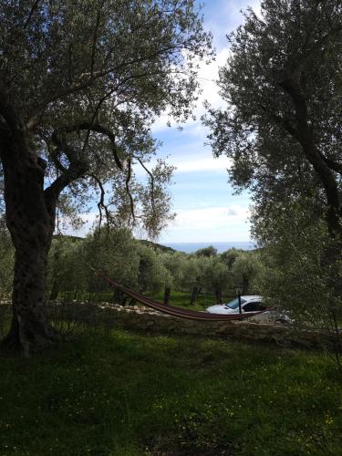 a hammock in the middle of a field with trees at OLEA COTTAGE in Ulcinj