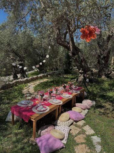 a wooden table with plates and food on it under a tree at OLEA COTTAGE in Ulcinj