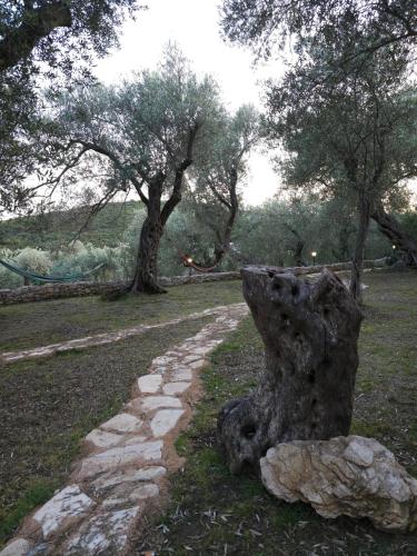 a stone path in a field with some trees at OLEA COTTAGE in Ulcinj